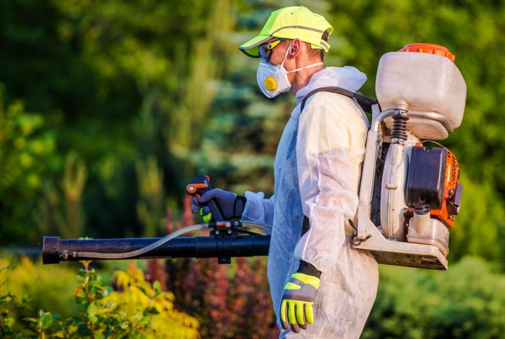 Professional pest control services in Barrow-in-Furness